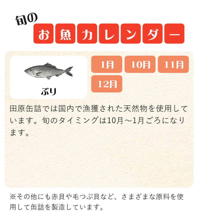 ぶり　お魚カレンダー